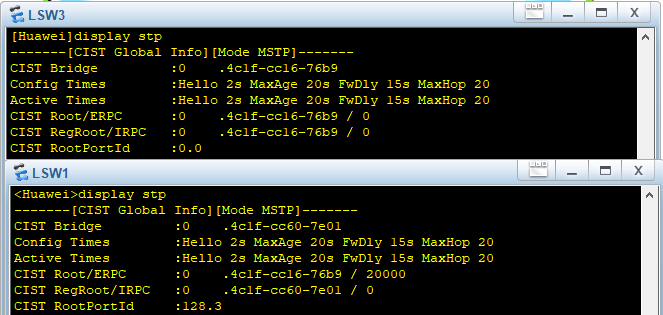 display stp LSW1-3.PNG